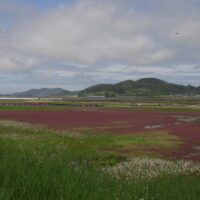 C0332T01.JPG