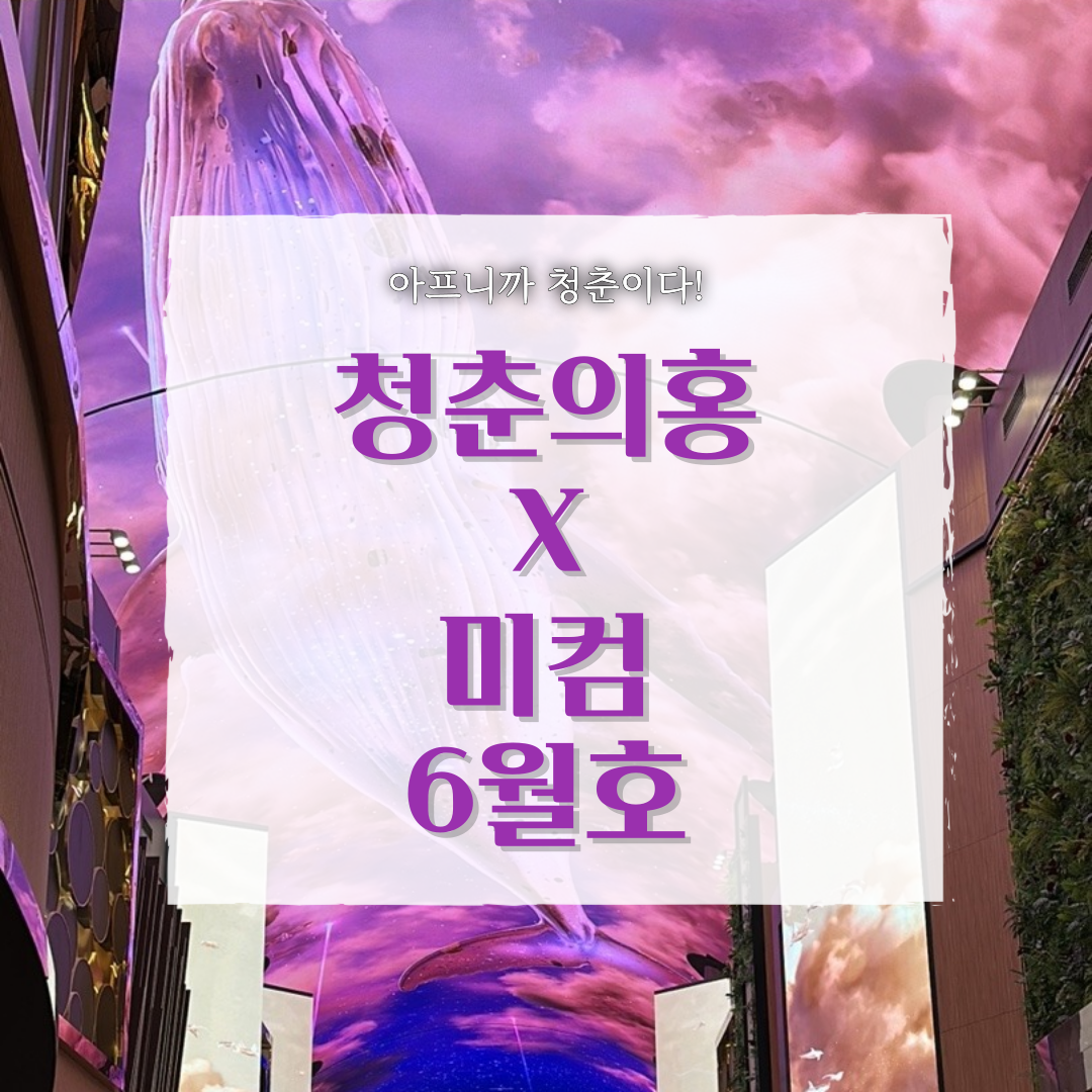 월간 청춘의홍X미컴 2025년 6월호